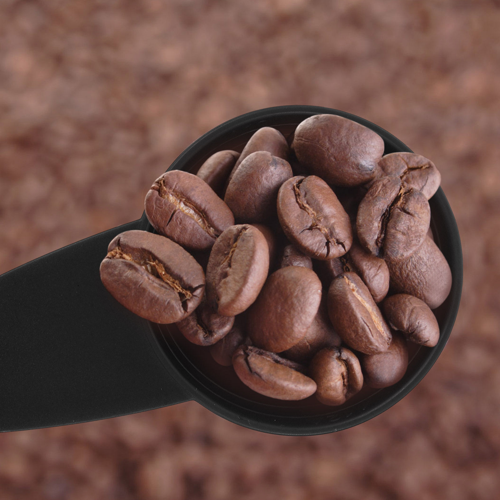 5Pcs Measure Spoon Long Handle - Coffee Tea Beans recension och pris